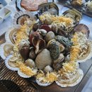 무창포해수욕장 | 무창포해수욕장 청정횟집 방문 후기｜조개구이 맛집 내돈내산 솔직 리뷰