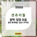 (주)소모홀딩스엔테크놀러지 이미지