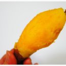 현중농장 이미지