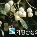 가평삼성의원 이미지