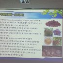 유인숙농장 네이버블로그
