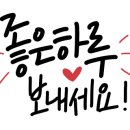 디어빈네일 이미지