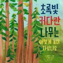 [풀과바람(바우솔)] 신간 그림책 ＜초록빛 커다란 나무는 어떻게 높이 자랐나요＞를 소개합니다. 이미지