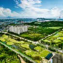 파인파크 AT 군산파3 506 | 파인파크 AT 군산 파3 골프연습장 안내