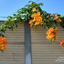 돌산중학교 이미지