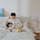 호텔 포시즌 | ✨한샘 호텔침대 실제 후기 – 포시즌 매트리스와 함께한 숙면의 변화✨