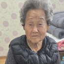 태형건업 이미지