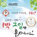 케이문