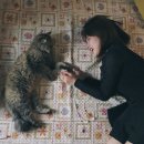 고양이 하루 이미지