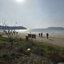 이일레1 네이버블로그