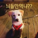 흥왕낚시터 | 강화도 &#34;흥왕낚시터&#34; 1박 2일 방갈로 낚시 후기