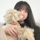 (주)닭사부 | 5월 3