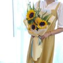 사파동255 이미지