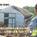 영미농장 티스토리