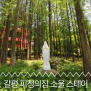 스테이단감 이미지