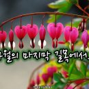 정다운길목 이미지