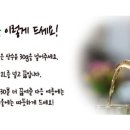 다온약초