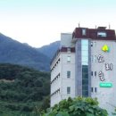 자연숲 펜션 이미지