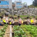 모모어린이집 이미지