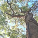 원주굽이길 13코스 구력재길 이미지