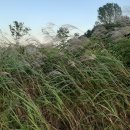 남한강공인중개사사무소 이미지