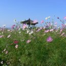 한강둔치길 이미지