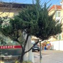 최부자숯불갈비 이미지