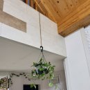 플랜테리어 홈가드닝 | 홈가드닝 플랜테리어 추천, 가볍고 실용적인 행잉 화분