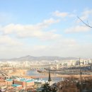 H9021 Daum카페