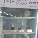 원애견&뭉까두까 네이버블로그