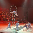 게임아트 | <제주투어패스> 아트서커스 관람 솔직후기 ! + 액트몬 게임 1시간