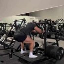 고구마 휘트니스 이미지