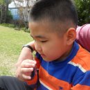 풀냄새꽃향기 이미지