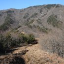 영천초교 이미지