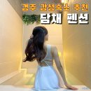 경주 감성숙소 클라우드나인 자쿠지 펜션 | 경주 자쿠지 숙소 감성숙소 추천 담채 내돈내산 솔직후기