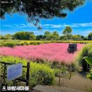 궁1리마을회관 이미지