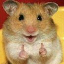 해피온안경원 | 호주 안경원 일 후기