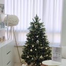 인동36길-3 | 구미 두피관리 다루다에스테틱 헤드스파 추천