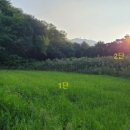 덕산면041 이미지