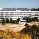 수원여자고등학교 네이버블로그