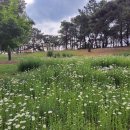 서구문화회관 야외공연장 이미지