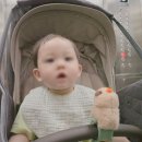 리안 티스토리