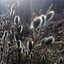 성호농원 이미지