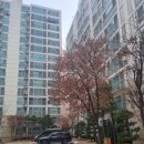 삼선푸르지오아파트 | 실거주 부동산 임장 후기, 삼선대우푸르지오 아파트