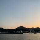 털보활어