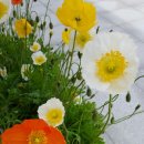 해돋이펜션 이미지