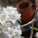 이길수농장 이미지