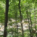 신성식당 이미지