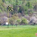 골프죤여기로 이미지