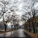 수도산과길손들 | 수도산자연휴양림과 인근코스 한몫에 알려 드립니다./리얼후기